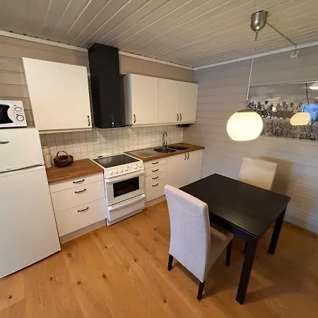Daire 2 Roms Kjellerleilighet Med Separat Soverom Luster